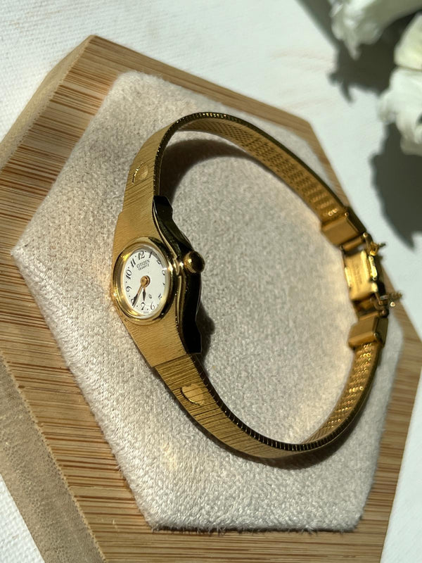 ساعة فنتج citizen